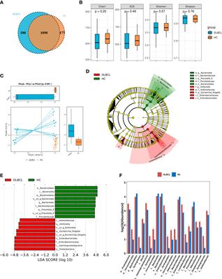 The gut microbiota correlate with the disease characteristics and immune status of patients with untreated diffuse large B-cell lymphoma